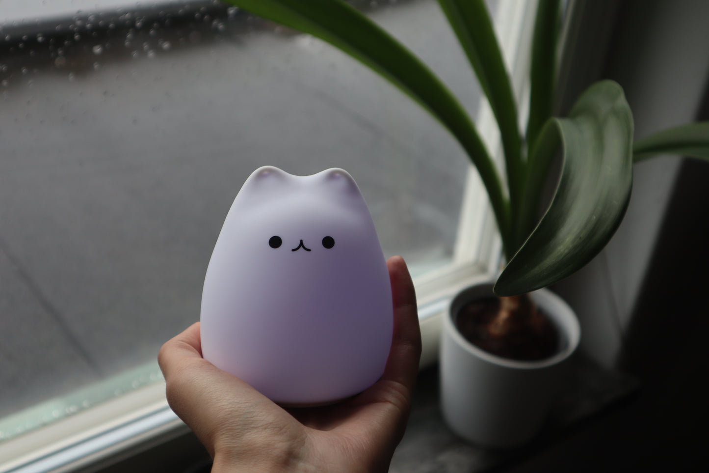 Kawaii Cat Mini Night Light